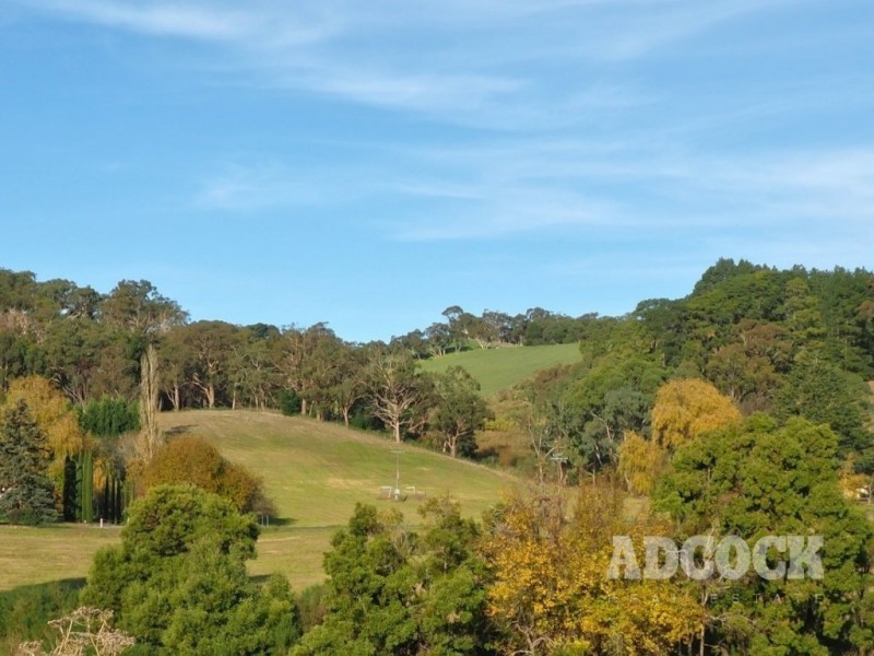 Lot 11 Swamp Road, Lenswood SA 5240