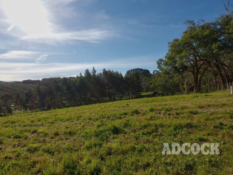 Lot 12 Swamp Road, Lenswood SA 5240