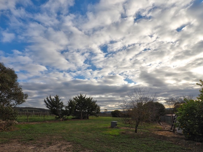 242 Newman Road, Charleston SA 5244