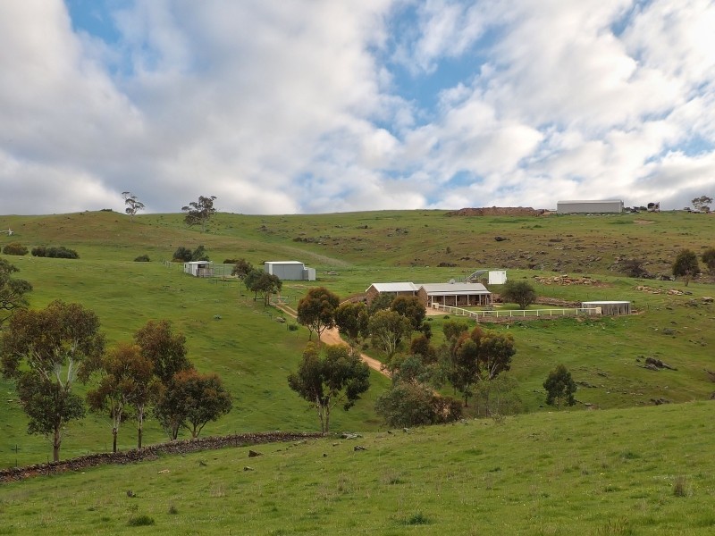 317 Scrubby Hill Road, Wistow SA 5251