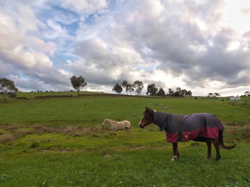 317 Scrubby Hill Rd, Wistow SA 5251