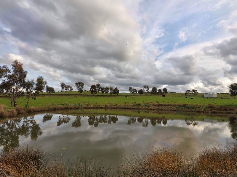 317 Scrubby Hill Rd, Wistow SA 5251