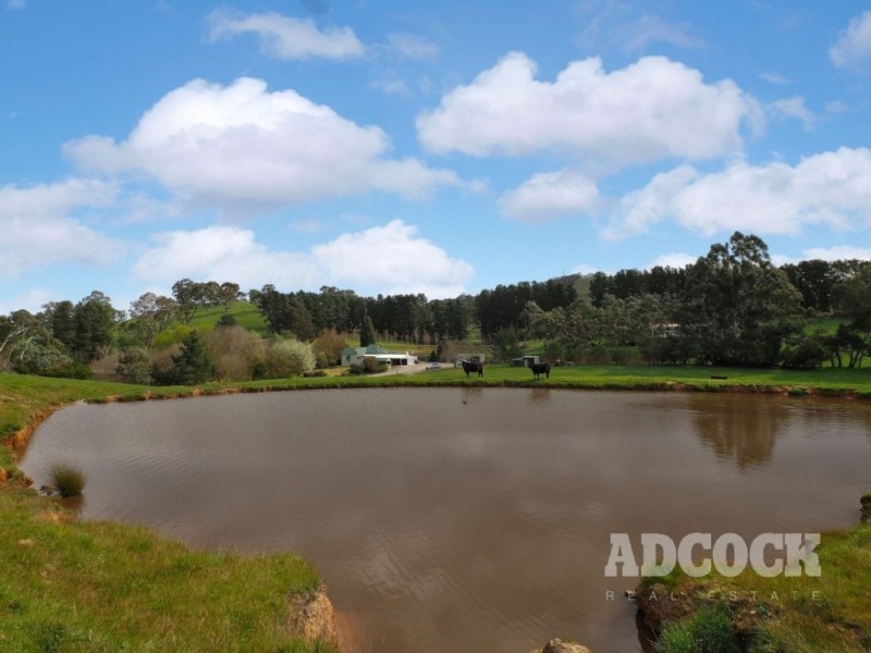 155 Alexander Forrest Road, Forreston SA 5233