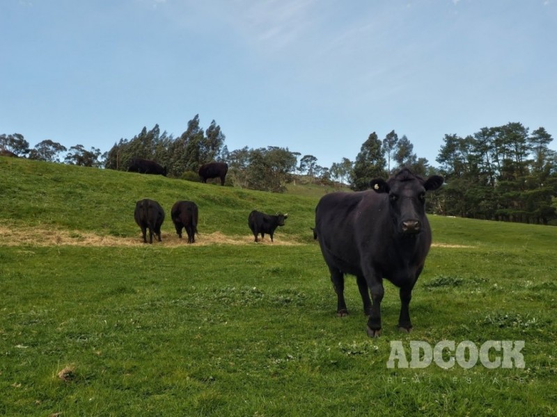 155 Alexander Forrest Road, Forreston SA 5233