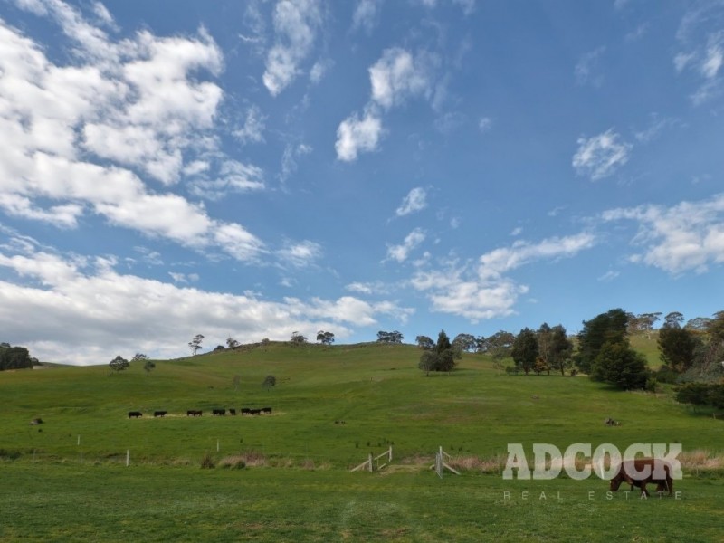 155 Alexander Forrest Road, Forreston SA 5233