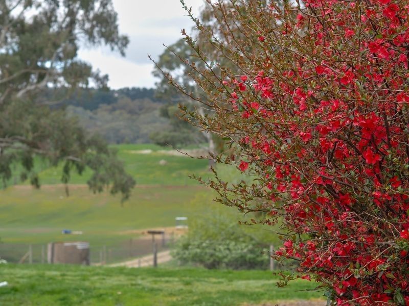 11 Springhead Road, Mount Torrens SA 5244