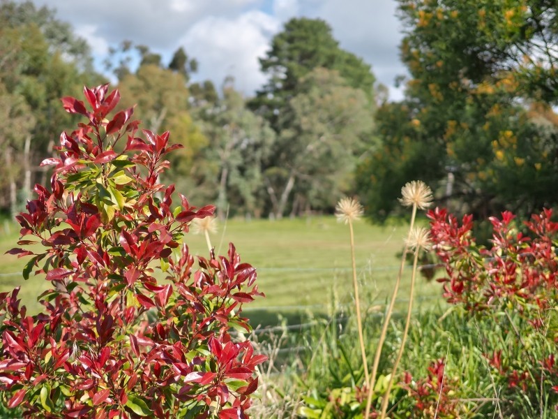 Lot 100,  Lobethal Road, Lobethal SA 5241