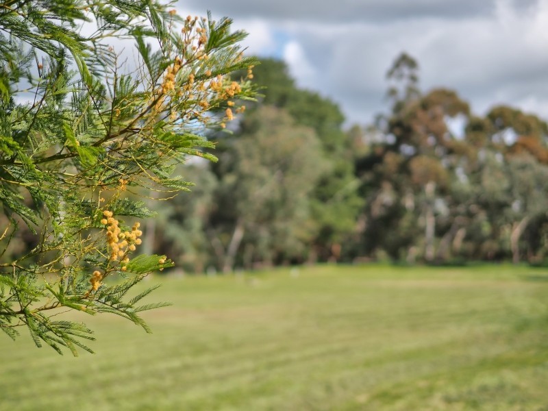 Lot 100,  Lobethal Road, Lobethal SA 5241