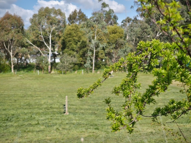 Lot 100,  Lobethal Road, Lobethal SA 5241
