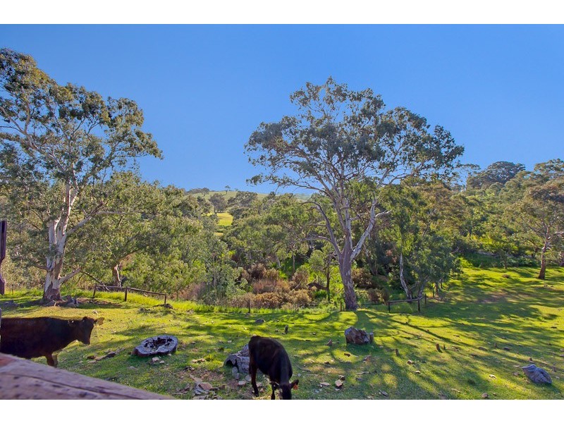 76 McIntyre Road, Dawesley SA 5252