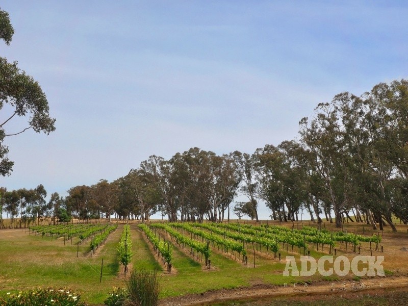 206 Military Road, Woodside SA 5244