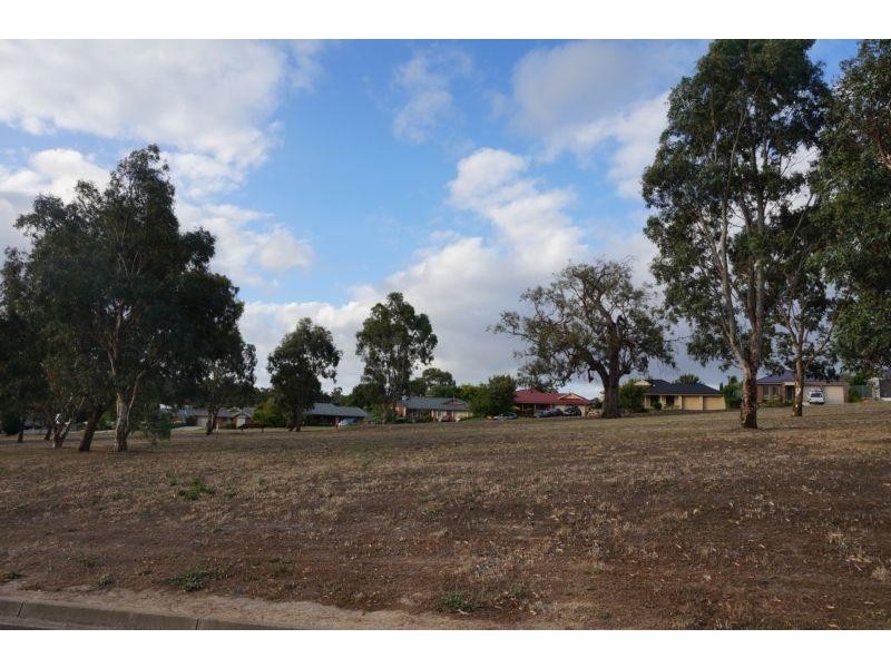 10 Webber Drive, Nairne SA 5252