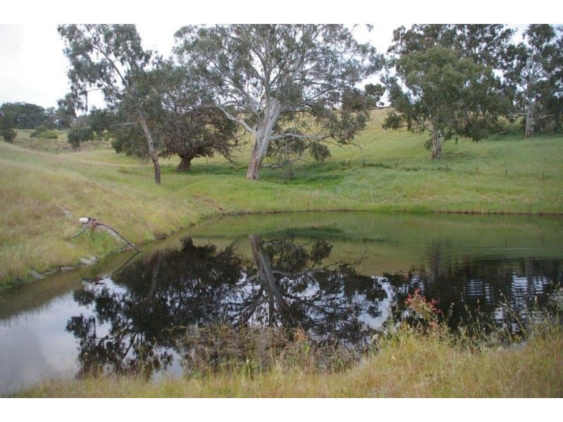 213 Hender Road, Mount Barker Springs SA 5251