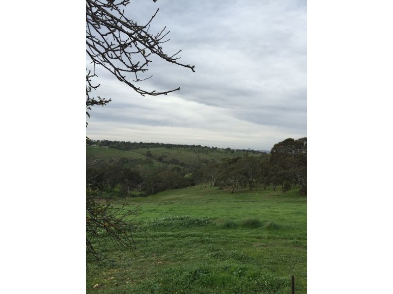 213 Hender Road, Mount Barker Springs SA 5251