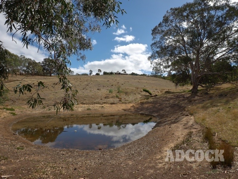 213 Hender Road, Mount Barker Springs SA 5251