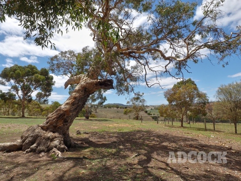 213 Hender Road, Mount Barker Springs SA 5251