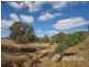213 Hender Road, Mount Barker Springs SA 5251