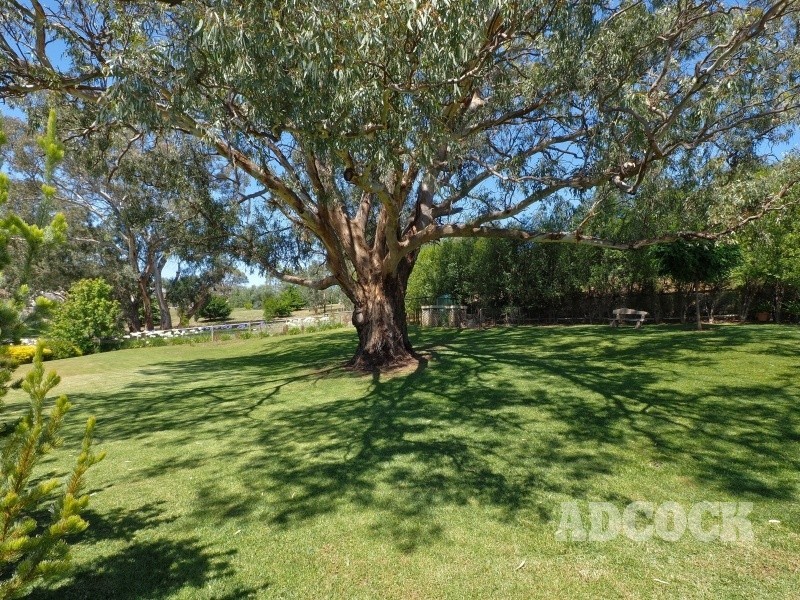 7 Hillside Court, Mount Barker SA 5251