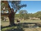 Lot 80 Borehamwood Road, Mount Torrens SA 5244