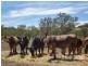 Lot 80 Borehamwood Road, Mount Torrens SA 5244