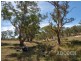 Lot 80 Borehamwood Road, Mount Torrens SA 5244