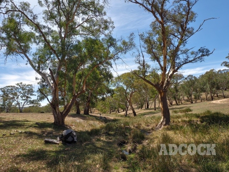 Lot 80 Borehamwood Road, Mount Torrens SA 5244