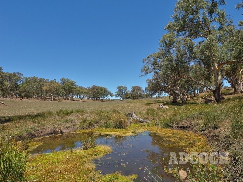 Lot 80 Borehamwood Road, Mount Torrens SA 5244