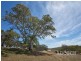 Lot 80 Borehamwood Road, Mount Torrens SA 5244
