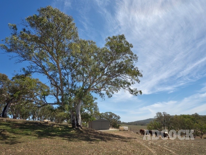 Lot 80 Borehamwood Road, Mount Torrens SA 5244