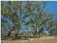 Lot 80 Borehamwood Road, Mount Torrens SA 5244
