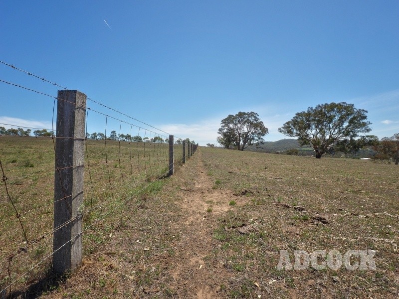 Lot 80 Borehamwood Road, Mount Torrens SA 5244