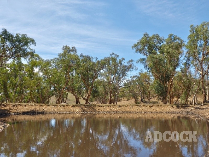 Lot 80 Borehamwood Road, Mount Torrens SA 5244