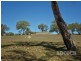 Lot 80 Borehamwood Road, Mount Torrens SA 5244