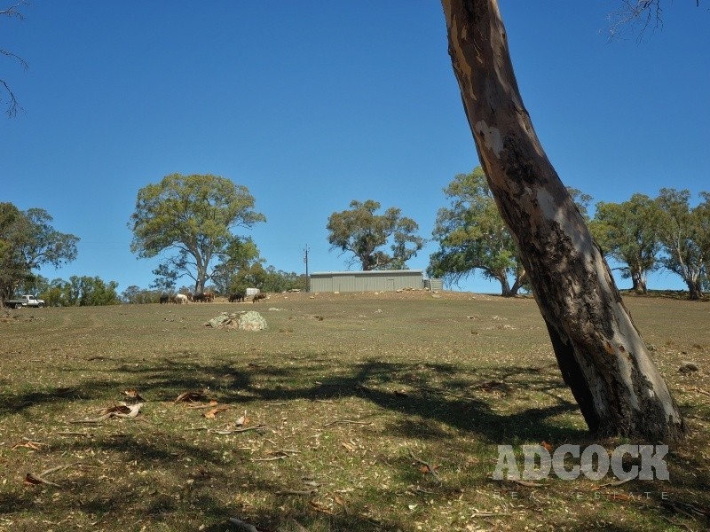 Lot 80 Borehamwood Road, Mount Torrens SA 5244