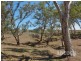 Lot 80 Borehamwood Road, Mount Torrens SA 5244