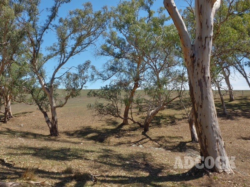Lot 80 Borehamwood Road, Mount Torrens SA 5244