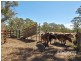 Lot 80 Borehamwood Road, Mount Torrens SA 5244