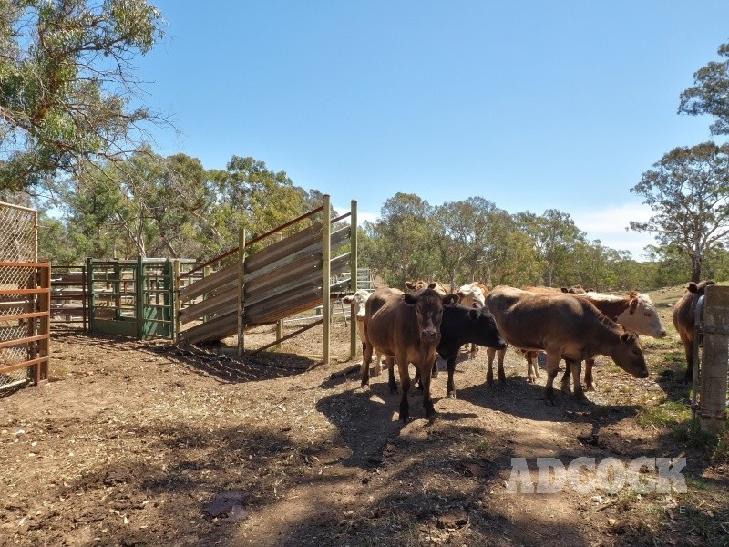 Lot 80 Borehamwood Road, Mount Torrens SA 5244