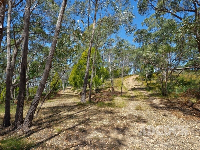 2126C Greenhill Road, Carey Gully SA 5144