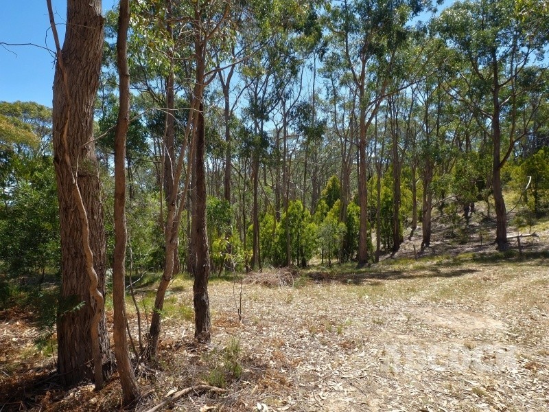 2126C Greenhill Road, Carey Gully SA 5144