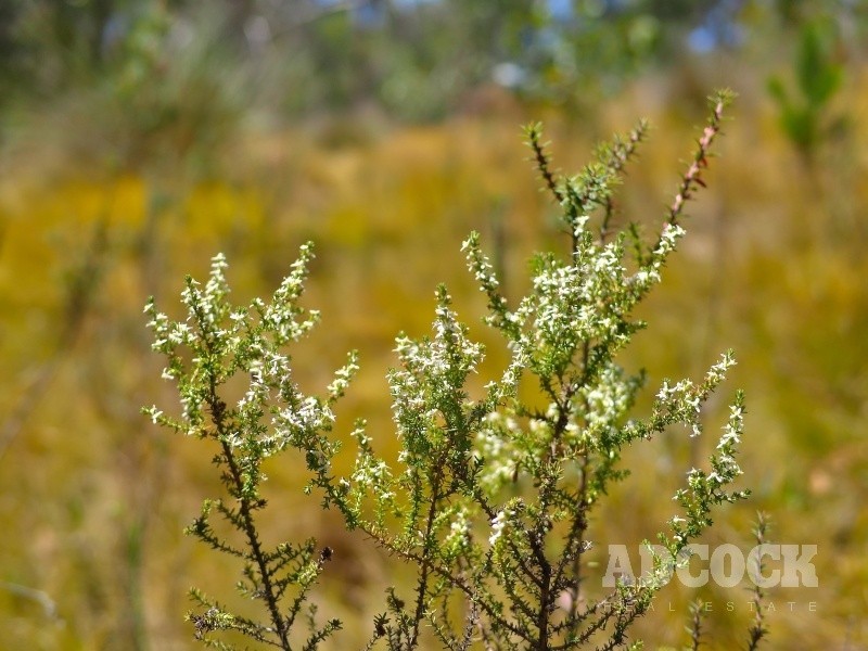 2126C Greenhill Road, Carey Gully SA 5144