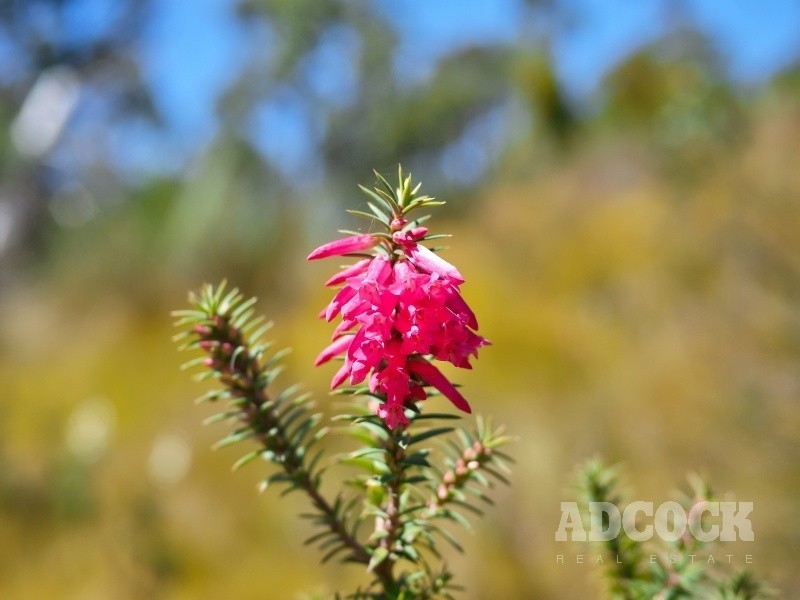 2126C Greenhill Road, Carey Gully SA 5144