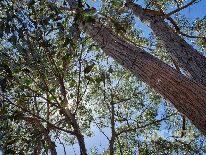 2126C Greenhill Road, Carey Gully SA 5144