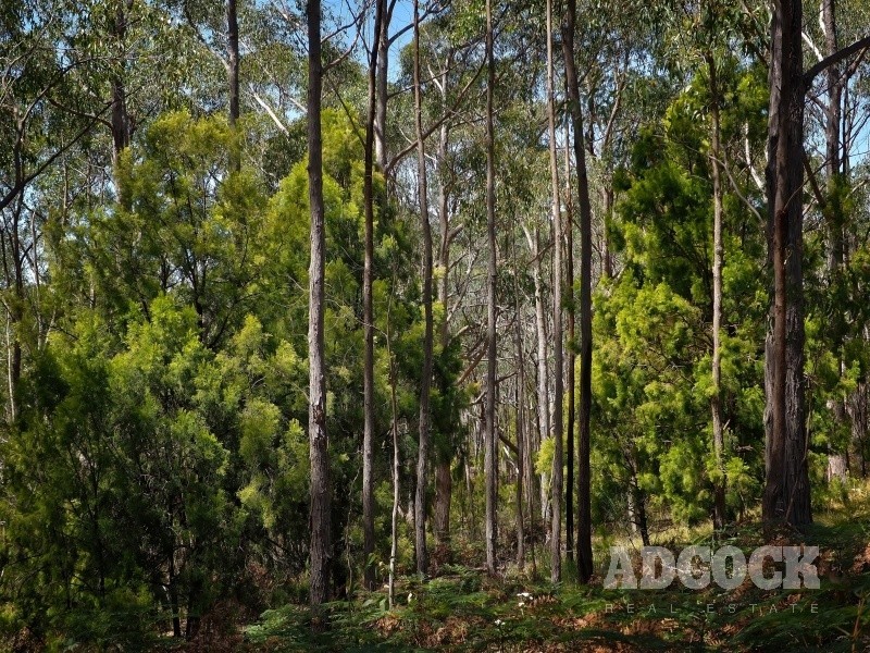 2126C Greenhill Road, Carey Gully SA 5144