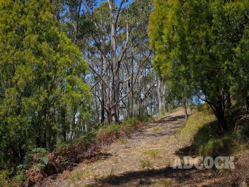 2126C Greenhill Road, Carey Gully SA 5144