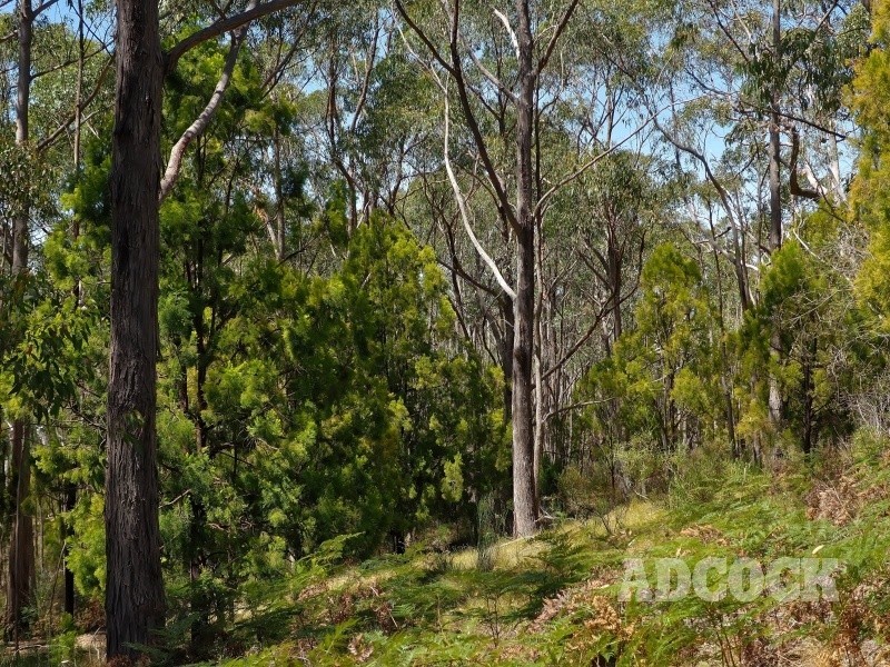 2126C Greenhill Road, Carey Gully SA 5144