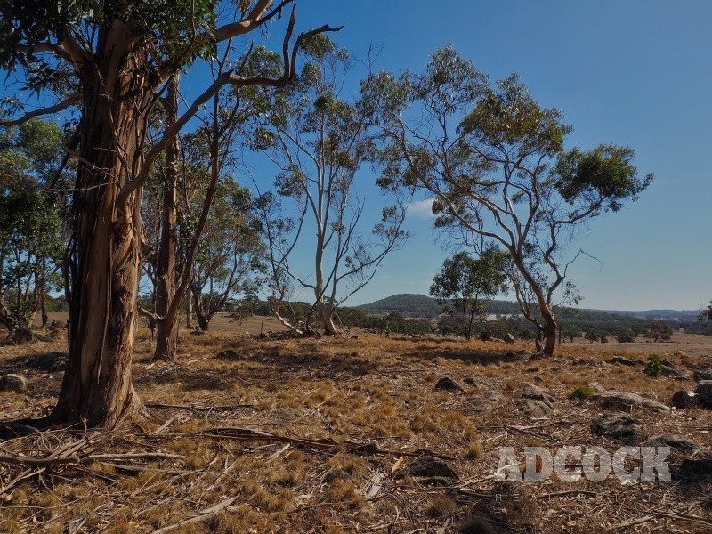 151 Woolshed Road, Mount Torrens SA 5244