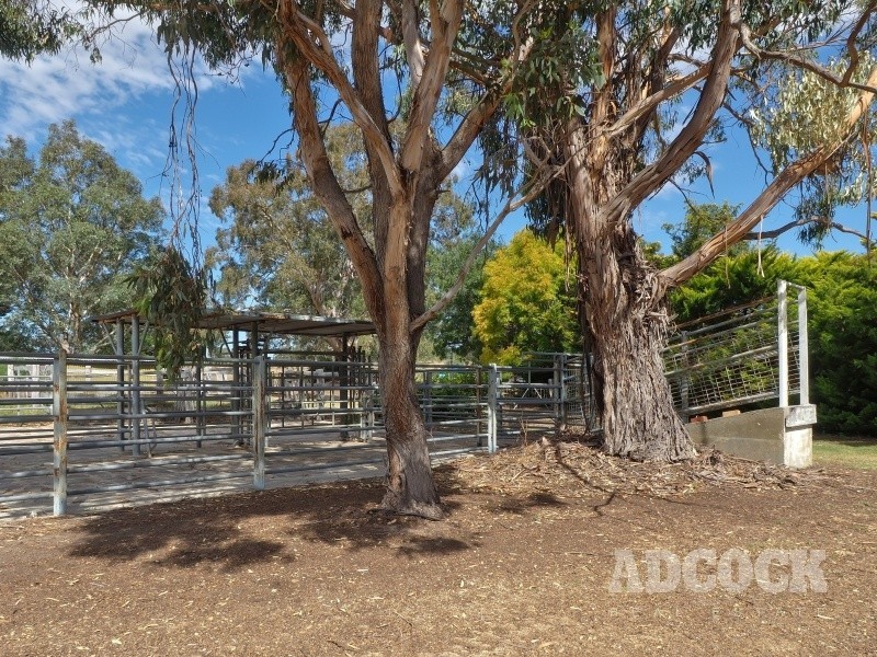 59 McLean Road, Birdwood SA 5234