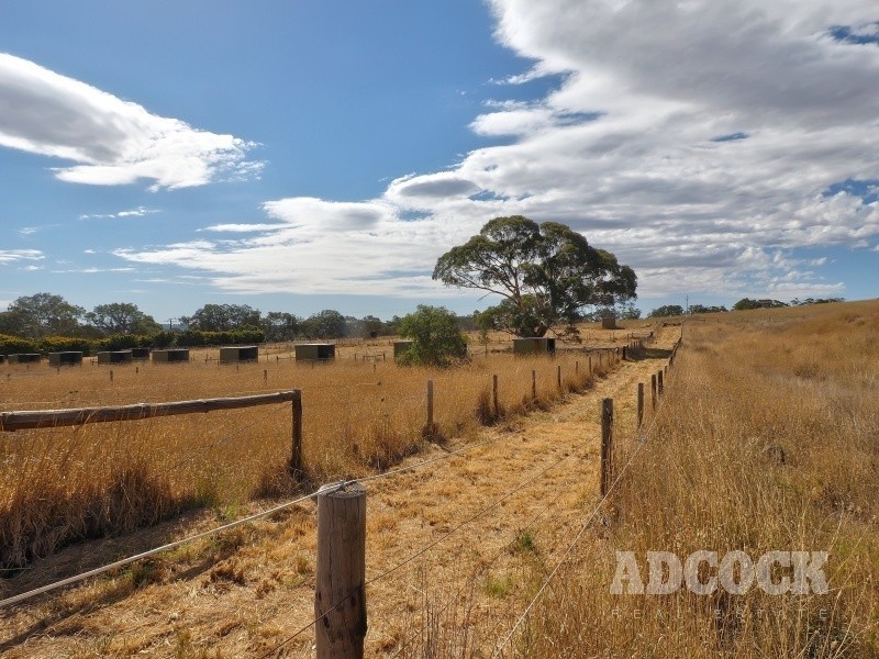 59 McLean Road, Birdwood SA 5234