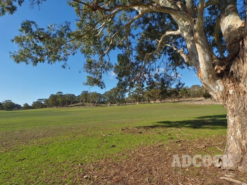 55 Jacaranda Drive, Woodside SA 5244